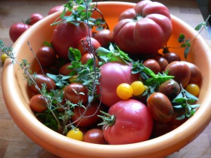 buntes Tomaten-Allerlei in eleganer Plaste-Schüssel