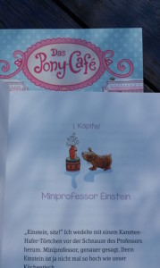 pony-café innen 2