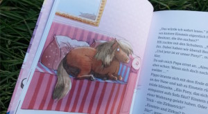 pony-café innen
